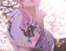 Geisha Sakura Hanami 7