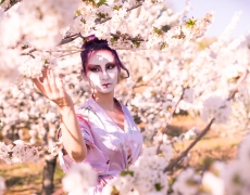 Geisha Sakura Hanami 10