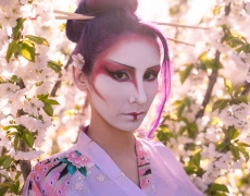 Geisha Sakura Hanami 12