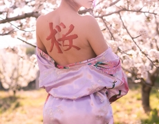 Geisha Sakura Hanami 6