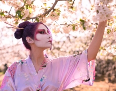 Geisha Sakura Hanami 11