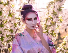 Geisha Sakura Hanami 5